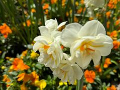 -公平路渡口(轮渡站)