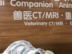 -爱侣宠医·鹦鹉专科·小型哺乳类·异宠专科(灵石路店)