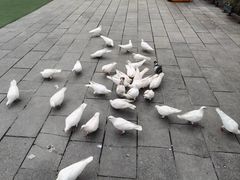 -华谊兄弟（长沙）电影小镇