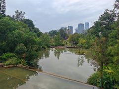 -云溪植物园