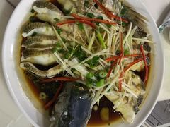 -煲来饱去冷水鱼