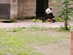 -重庆动物园·东二门售票处