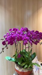 -曼都发型·臻选