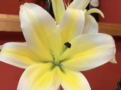 -塞纳河法国餐厅(意式风情街店)