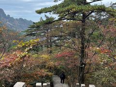 -黄山风景区
