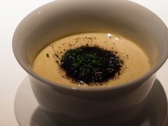 -觀芷隐轩