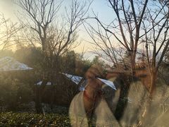 -江南天池高山汤泉城