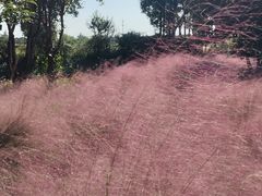-嘉北郊野公园