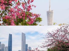 -广东圆玄道观