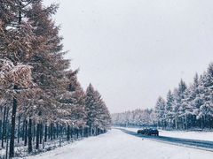 -塞罕坝国家级自然保护区