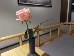 -FineYoga梵音瑜伽·普拉提