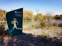 -洮儿河国家湿地公园
