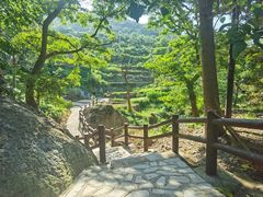-灵山岛风景区