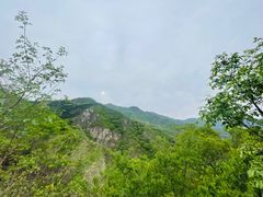 -北京鹫峰国家森林公园