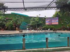 -广州长隆飞鸟乐园