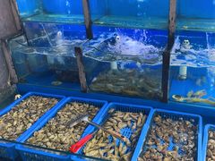 -老东镇啤酒屋海鲜加工·蒸汽海鲜·海鲜烧烤(台东店)