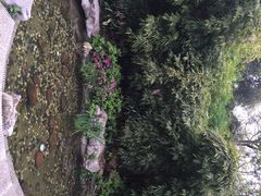 iphone_upload_pic-白沙古井