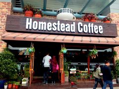 Homestead&nbsp;Coffee(湖滨店)-MEET COFFEE婉约咖啡(宝善公寓店)