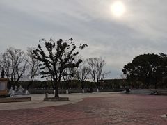 -上海交通大学闵行校区-包玉刚图书馆