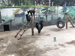 -西安秦岭野生动物园