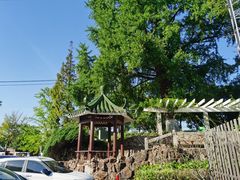-瀛洲公园