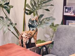 -COTTON CAFE(德信·中外公寓店)