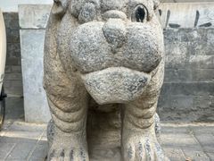 -古陶文明博物馆