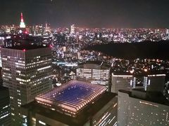 -东京都厅舍
