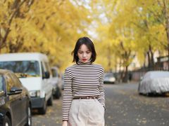 -三里屯东五街银杏大道