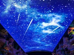 -珠海长隆海洋王国-鹦鹉过山车