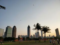 -万绿园