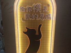 -厦门诚毅自然探索馆