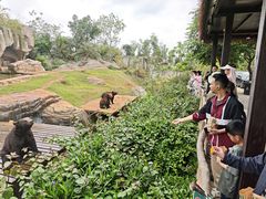 -海南热带野生动植物园
