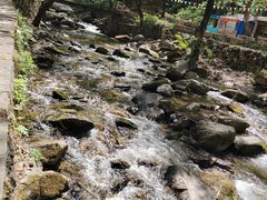 -少华山国家森林公园
