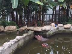 -宁波野生动物园