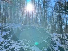 -峡谷浮石林景区