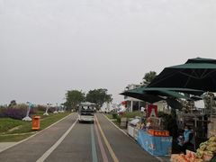 -空港花田景区