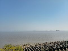 -上海滨江森林公园