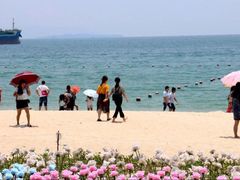 -玫瑰海岸文化旅游度假区