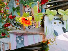 -猫咪博物馆(顶澳仔猫街店)