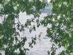 -浙江西子宾馆·瑶园咖啡厅