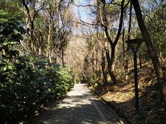 -虞山风景区