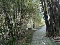 -望江楼公园