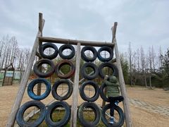 -前小桔亲子创意农场·草莓采摘·露营烧烤