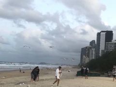 -黄金海岸