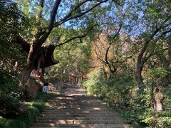 -宁波市保国寺古建筑博物馆