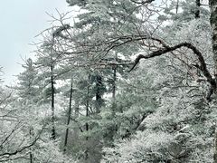 -洛阳白云山景区