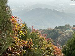 -红螺寺