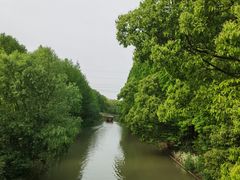 -上海长兴岛郊野公园