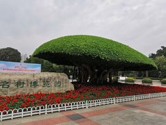 -南宁南湖公园